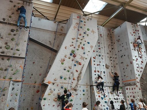 6G sensibilisation handisport.jpg